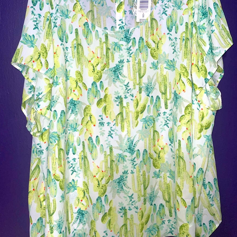 Sheer Catus top